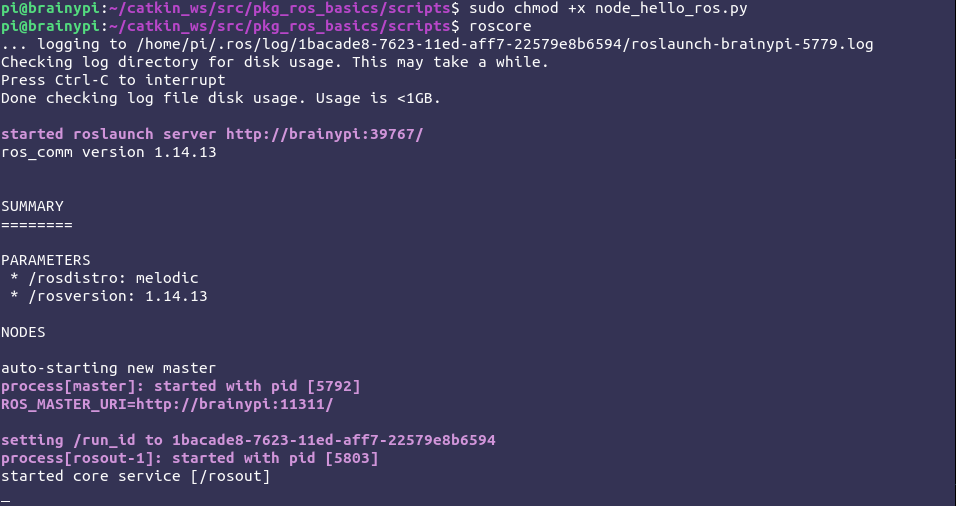 Running the ROS Master using the roscore command